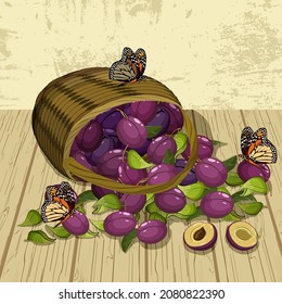 Basket with plums in the illustration.Colored vector illustration with ripe plums in a basket on a wooden background.