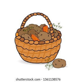 Basket with potato yields. Vector illustration