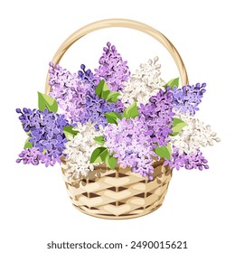 Basket with purple and white lilac flowers. Beige wicker basket with lilac flowers bouquet isolated on white. Vector illustration. Hand-drawn illustration, not AI