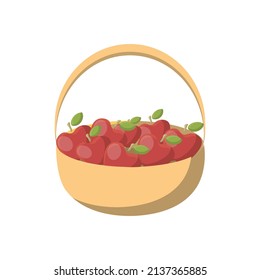 Korb mit roten Äpfeln auf weißem Hintergrund. Illustration für Kinderbücher, Material für die Entwicklung von Kindern, das Thema der Auswahl von Äpfeln im Garten, im Wald. 