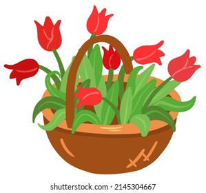 Cesta con tulipanes rojos. Ilustración vectorial dibujada a mano. Adecuado para pegatinas, tarjetas de felicitación, papel de regalo.