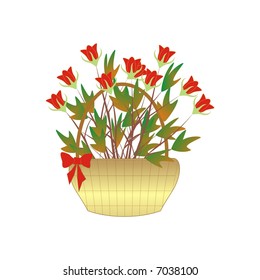 Basket of red-tulips