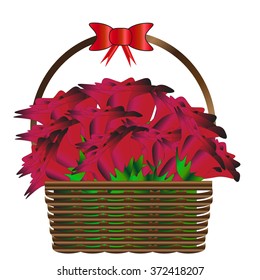 basket with roses