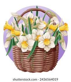Cesta con flores de primavera sobre fondo aislado. Ilustración vectorial de un ramo de narcisos en una cesta de mimbre. Regalo para el Día de la Mujer, Día de la Madre, etc.