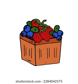 Basket with Strawberry and Blueberry Isolated doodle vector illustration. The concept of summer, fruits, berries, healthy food. Illustration for cover, menu, cards, web, print, social media.
