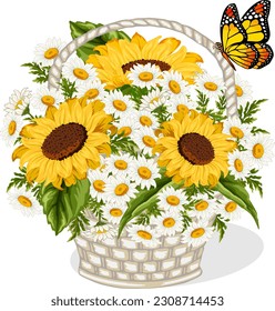 Basket with sunflowers and daisies.Vector illustration with sunflowers and daisies in a wicker basket on a transparent background.