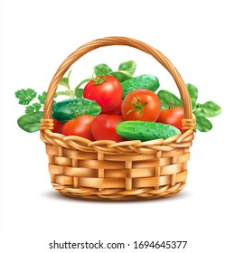 Basket with tomatoes, cucumbers and fresh herbs isolated on white. Vector illustration.