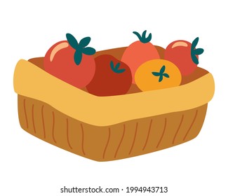 Basket of tomatoes. Vegetarian nutrition market concept. Organic healthy food harvest delivery package. Vector flat illustration for a farm produce store postcards posters and printing.