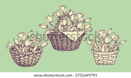 Basket with tulips set. Collection of hand drawn sketch style springtime flowers. Best for easter and birthday postcards and posters. Vector illustration.