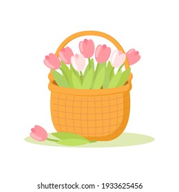 A basket of tulips vector illustration on white background. Easter flowers for greeting cards, leaflets, web design