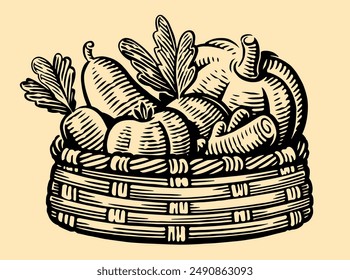 Basket with various fresh vegetables. Farm healthy organic food. Hand drawn drawing in vintage engraving style