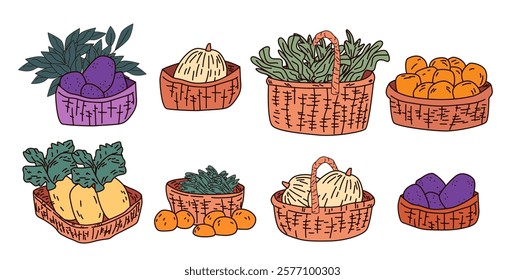 Basket of vegetables and fruits colorful produce illustration with various items like eggplants oranges leafy greens in wicker baskets hand-drawn style