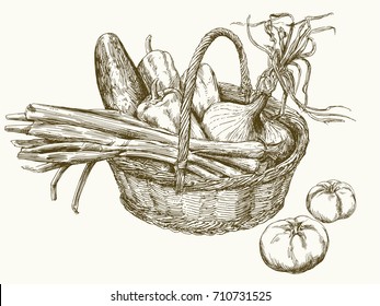 basket vegetable draw 304faa