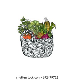 Basket with vegetables isolated on white. Vector illustration.