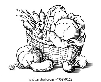 Basket and vegetables  Stylized black   white vector illustration  Cabbage  pumpkin  eggplant  tomatoes  onion  carrots  broccoli  brussels sprouts