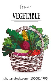 basket of vegetables vector illustration , hand drawing, salad, beets , tomatoes, maize isolated on white background