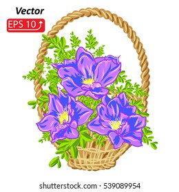 Basket with violet flowers,  isolated on white background, vector illustration.