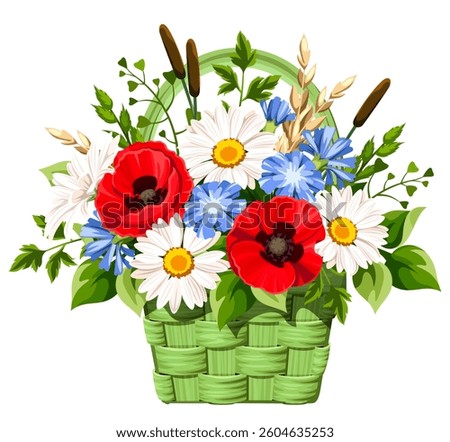Basket with wild flowers, herbs, and grasses. Bouquet of poppies, daisies, and chicory flowers in a green basket isolated on a white background. Vector illustration. Hand-drawn illustration, not AI