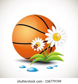 Basketball