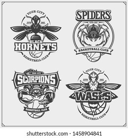 Basketball badges, labels and design elements. Sport club emblems with scorpion, wasp, hornet and spider. Print design for t-shirts.