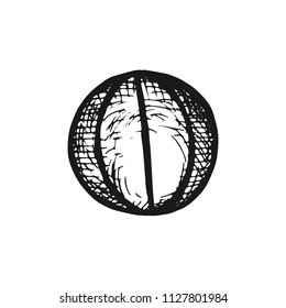 basketball ball vector sketch isolated.