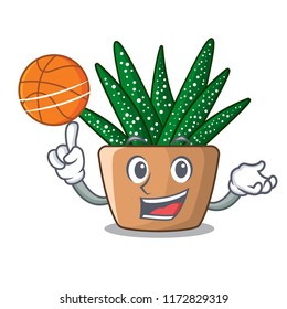 With basketball mini zebra cactus on cartoon pot