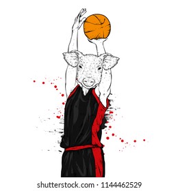 Basketball player with a pig head. Athlete with a basketball. Vector illustration for a postcard or a poster, print for clothes. Boar.