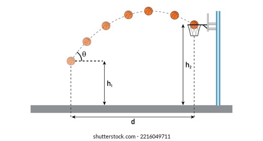 Basketball projectile motion diagram. parabolic curve. scientific vector illustration isolated on white background. svg