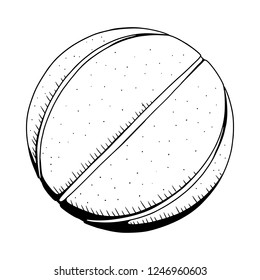 Basketball vector illustration.