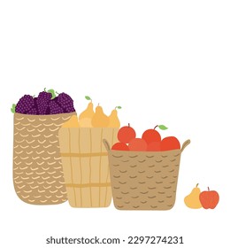 Körbe mit Birnen, Äpfeln, handgezeichnet gezeichnete Trauben. Cartoon-Stil flaches Design, einzelne Vektorgrafik. Sommer-, Herbsternte, Druckelement für den Bauernmarkt, Landwirtschaft, Gartenbau, gesunde, veganische Lebensmittel
