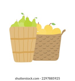 Baskets with pears, apples hand drawn illustration. Cartoon style flat design, isolated vector. Summer, autumn harvest, farmer market print element, farming, gardening, healthy, vegetarian food
