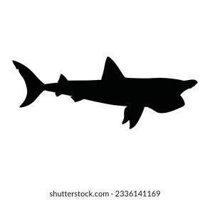 Desain vector de silueta negra de tiburón perezoso