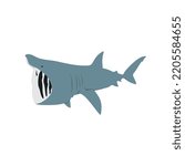 The basking shark, Cetorhinus maximus is the second largest fish species and it also one of plankton-eating shark species.