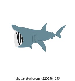 The basking shark, Cetorhinus maximus is the second largest fish species and it also one of plankton-eating shark species.