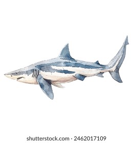 basking shark vector illustration in watercolor style
