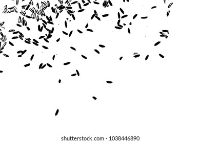 Basmati rice close up. Rice background with white jasmine rice isolated, top view, food background. Vector.