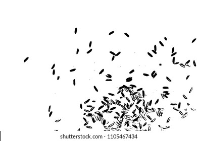 Basmati rice close up. Rice background with white jasmine rice isolated, top view, food background. Vector.