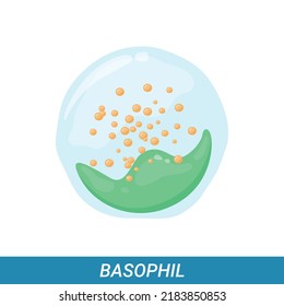 Basofil, leucocitos, ilustración vectorial aislada en fondo blanco