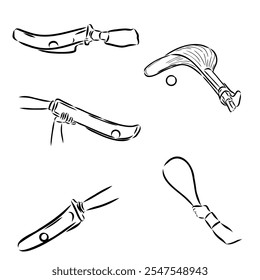 basque pelota vector line icon. playing basque pelota. sport pictogram illustration.