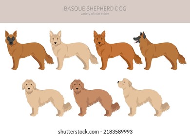 Basque Shepherd dog all colours clipart. Different coat colors and poses set.  Vector illustration