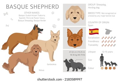 Baskischer Schäferhund alle Farben Clipkunst. Unterschiedliche Farben und Posen.  Vektorgrafik