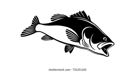 Bass Fish