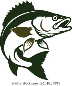 bass fish catching the fishing lure and Largemouth Bass Fish Catching the Fishing Lure
