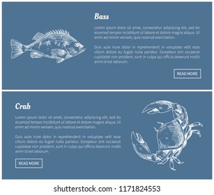 Bass fish and crab posters set with headlines. Marine dwellers sketches outline. Shellfish raw unprepared ingredients delicacy vector illustration