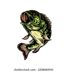 Bass Fish Hand Drawn Line Style With Digital Color, Vector Illustration