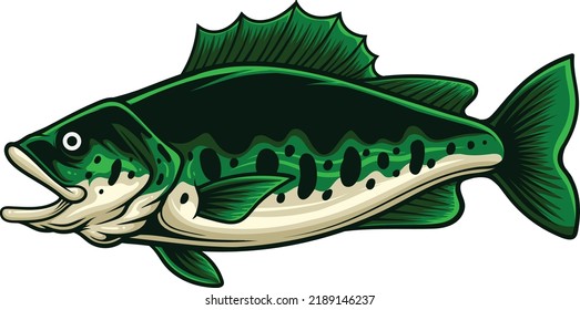 Bass fish illustration with premium quality stock vector