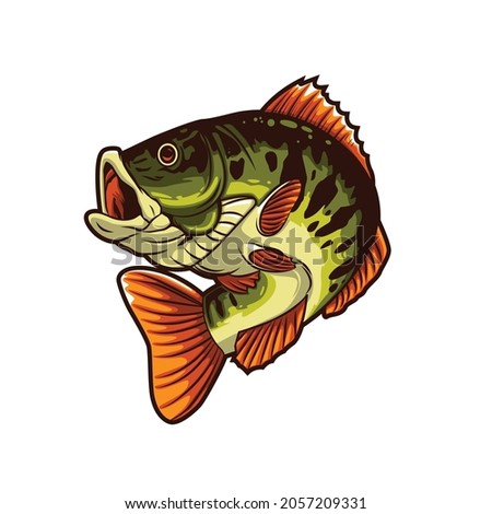 bass fish illustration vector design
