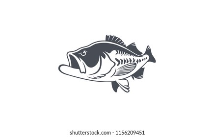 bass fish image