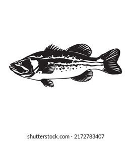 Bass fish line drawing style on white background. Design element for icon logo, label, emblem, sign, and brand mark.Vector illustration.