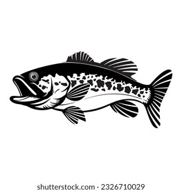 Bass fish line drawing style on white background. Design element for icon logo, label, emblem, sign, and brand mark.Vector illustration